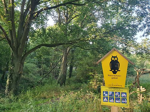 Ein NSG-Schild mit daran angebrachten Piktogrammen steht vor dem grünen Hintergrund eines naturnahen Waldes