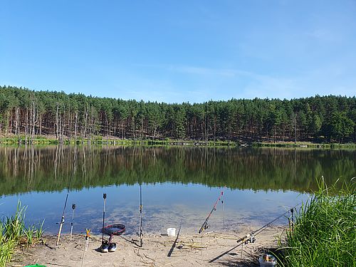 Blick auf den Stillen Treppelsee vom Ufer aus. Am Wasser sind mehrere Angeln in den Sand eingesteckt.