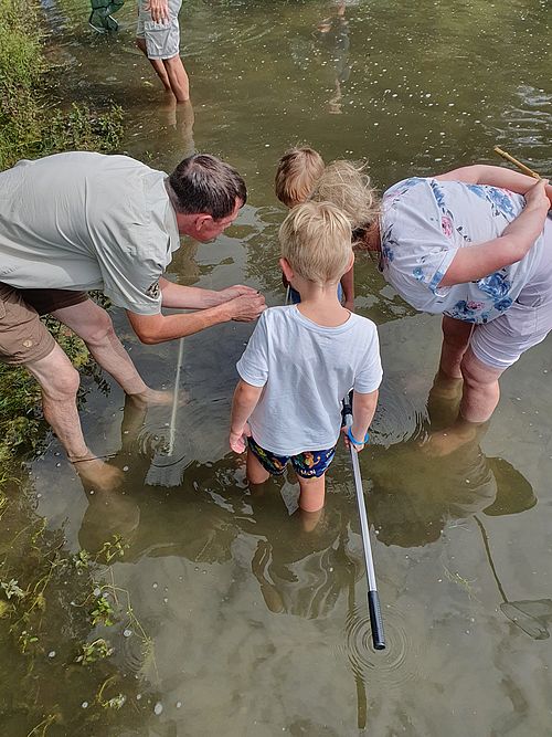 Ein Ranger steht mit einem Kescher im Wasser. Die gefangenen Wasserlebewesen werden von zwei Kindern begutachtet.