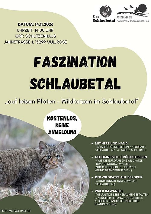 Programmplanung der Veranstaltung Faszination Schlaubetal "auf leisen Pfoten - Wildkatzen im Schlaubetal", Foto: Förderverein Naturpark Schlaubetal e.V., Lizenz: Förderverein Naturpark Schlaubetal e.V.