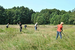 Sensenkurs, Foto: Sarah Mamerow, Lizenz: Naturpark Schlaubetal