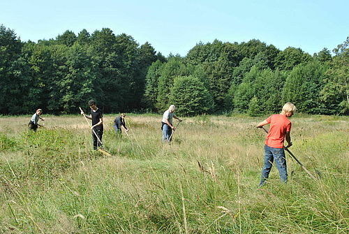 Sensenkurs, Foto: Sarah Mamerow, Lizenz: Naturpark Schlaubetal