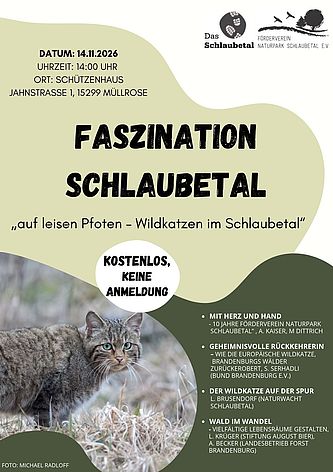 Programmplanung der Veranstaltung Faszination Schlaubetal "auf leisen Pfoten - Wildkatzen im Schlaubetal", Foto: Förderverein Naturpark Schlaubetal e.V., Lizenz: Förderverein Naturpark Schlaubetal e.V.
