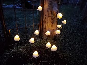 Bei einer nächtlichen Wanderung kann man die ein oder andere Überraschung entdecken, Foto: Liska Malin Rarisch, Lizenz: Liska Malin Rarisch