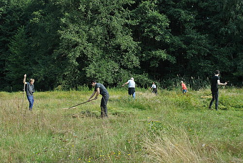 Mähen und Harken, Foto: Sarah Mamerow, Lizenz: Naturpark Schlaubetal